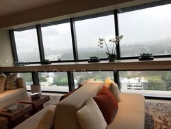 Hana (D10), Condominium #503163091